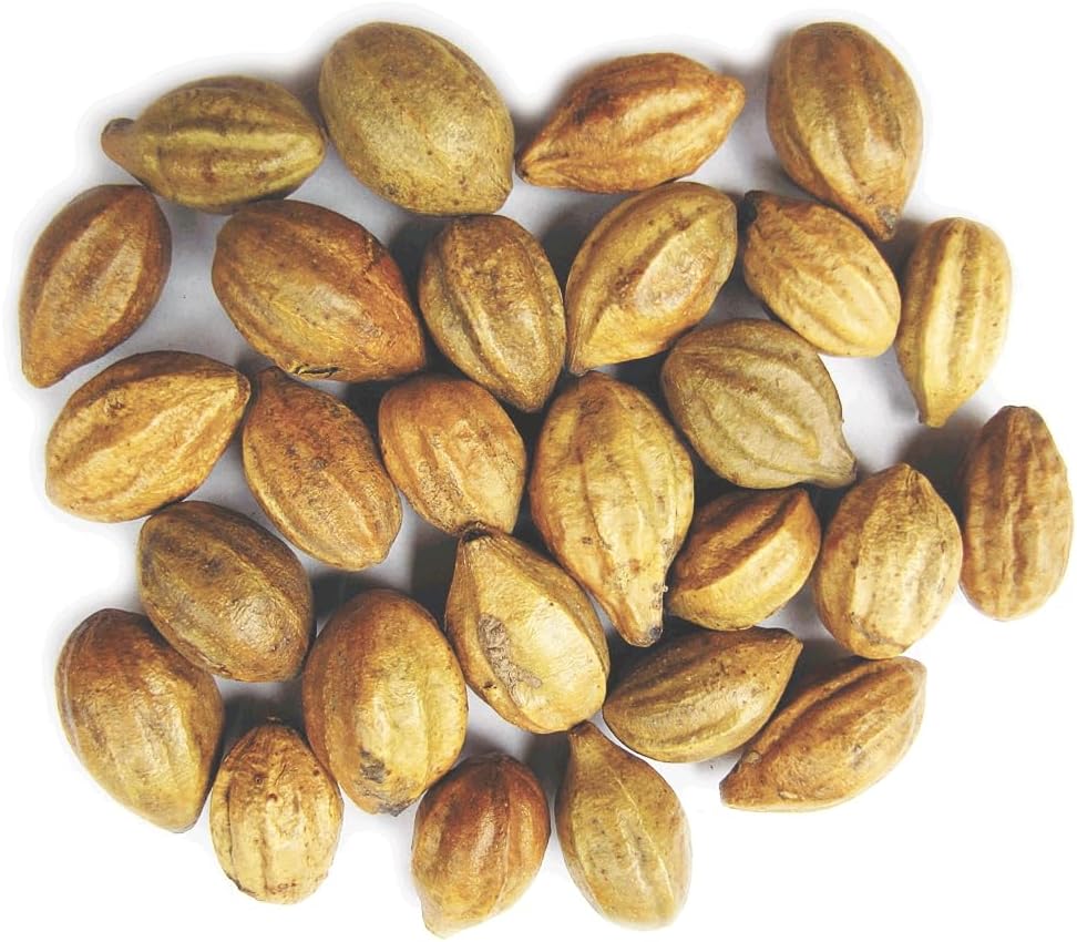 Naturals Terminalia Chebula | Kadukkai | Harad | Inknut |Haritaki Indian Origin Herbs (200g(7 oz))