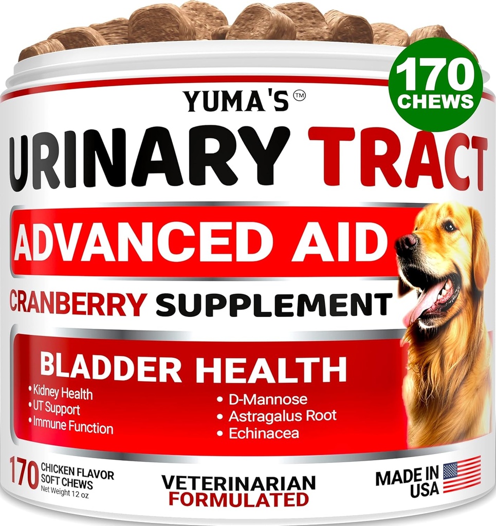 Dog UTI Tractament - 170 Tractaments - Cranberberry suplementaris per als Dogs - Control de Pulder - Urinary Tract Infection - Tractament de l'UTI Medivitamin - Vitades i suplementaris - fetes als EUA
