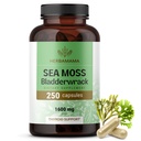 HERBAMAMA Irish Sea Moss Capsules - 1600mg Sea Moss and Bladderwrack for Immune Support - Vegan, Non-GMO Immunity Supplement for Overall Support