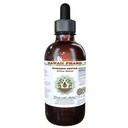 Hawaii Pharm Stinging Nettle Alcohol-Free Liquid Extract, Professional Grade, Small Batch Stinging Nettle (Urtica Dioica) Dried Leaf Glycerite 2 oz