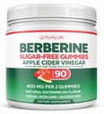 Purify Life Sugar-Free Berberine Gummies - with Ceylon Cinnamon, Milk Thistle & Apple Cider Vinegar - No More Capsules or Pills