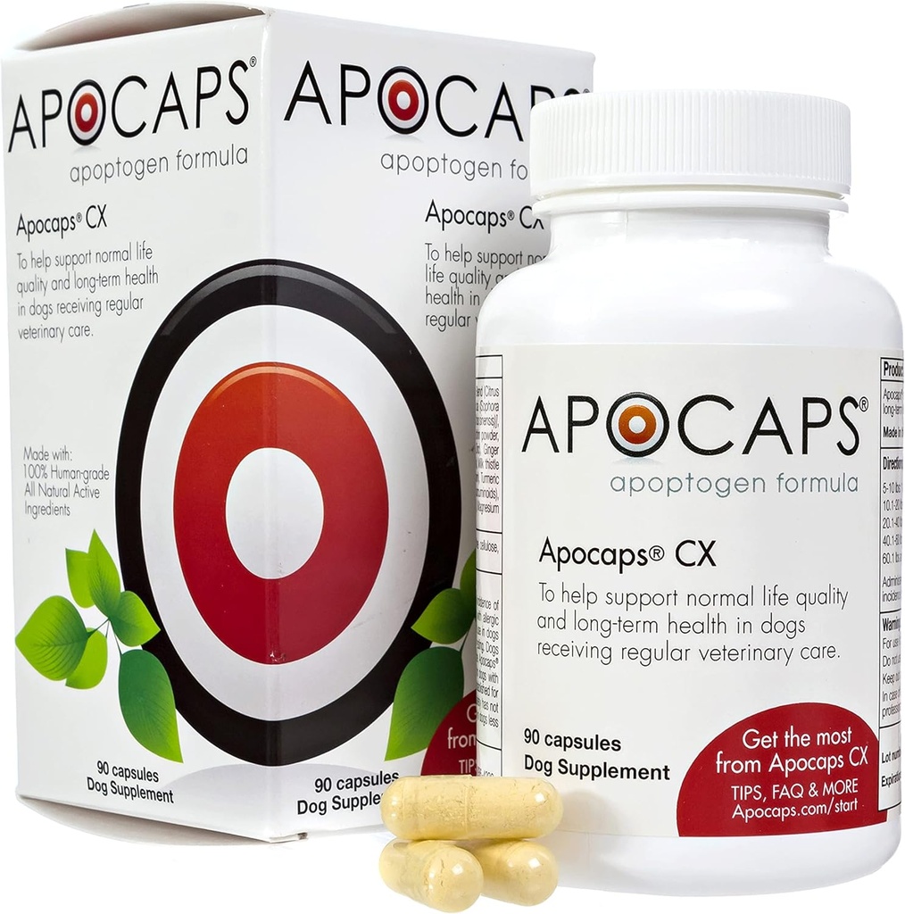 Apocaps CX Apoptogen Formula for Dogs (90 Capsules) - Apoptosis Normal Seviyelerini Destekler + İnsan Not Malzemeler Citrus Bioflavonoids, Silymarin, Curcumin ve Turmeric + Biovadexs