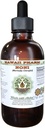 Noni Alcohol-Free Liquid Extract, Organic Noni (Morinda citrifolia) Dried Fruit Glycerite Natural Herbal Supplement, Hawaii Pharm, USA 2 fl.oz