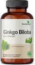 Futuregranity Ginkgo Biloba Extra Strength Supports Brain & Memory Support, 120 Vegetarian Capsules