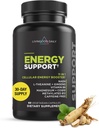 Live Dailyergy Support, 11-in--1 suplementari amb Magnesium, Vitamina B6, B12, Amino Aclics, L Carnitine, CoQ10, Gigang i L Thea9, implementació de l'Energia Natural per a homes i dones, Vegan, 60 Capules