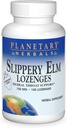 Planétne byliny Slippery Elm Strawberry Lozenges, Herbal Throat Support, 100 Lozenge