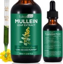 Mullein Leaf Extracto para pulmóns, Mullein Drops para pulmóns, soporte pulmón, función respiratoria para respiración saudable, mellora da función pulmonar, Suplemento natural e seguro (1 PC)