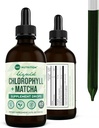360 营养 Matcha Cholophyl Liquid Drops with L-Theanine, Gluten Free & Vegan 内部除臭剂补充剂,支持古特健康,消化,能源,拉迪安特皮肤,快速吸收,60种服务