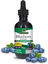 Natures Svars Alkohol- Free Blueberry Fruit 1000mg 2oz Extract Decl. 124; Eye and Vision Support Decl. 124; High in Antioxidants