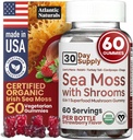 Sea Mossss Gummies with Lions Mane Mushroom - Sea Moss Gel Alternative with Irish Moss, Reishi, Cordyceps, Chaga & Turkey Tail - Focus Gummy Without קפה- 60 ct