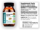 Tiến sĩ WA KDE'S Ashwagandha Capsules (Tiếng Tây Ban Nha Ginseng, Withania somnifera, 60 Veg Caps, sapage-Bassed, Ayurvedic Herb, All Natural, Vegan)