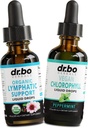 Uzupełnienie i chlorofil do odwadniania limfatycznego - Organiczne Lymphatic Support Liquid Drops Cleanse & Liquid Chlorophyll Drops Odor Cleanse Body Detox