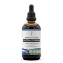 Secrets of the Tribe Muira Puama Tincture Alcohol-Free Liquid Extract, Muira Puama (Ptychopetalum Olacoides) Dried Bark (4 FL OZ)