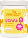 Wellah BCAAs Powder (Frozen Lemonade) 30 Servings, Recovery Drink Mix | BCAA Powder with Hydration Complex
