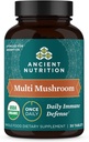 Əvvəllik Mushroom Ekspert, Organic Multi Mushroom Immune Support Tablet, Support Stress Response, Gluten Free, Paleo və Keto Friendly, 30 Count