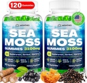 Sea Moss Gummies, 3100 mg İrlandalı Gerçek Deniz Moss Seamoss Kadın ve Erkekler için Bladderwrack, Burdock Root, Elderberry C ve Çinko Detox Cleanse için, Immune, Skin, Digestive, Organik, 120Ct