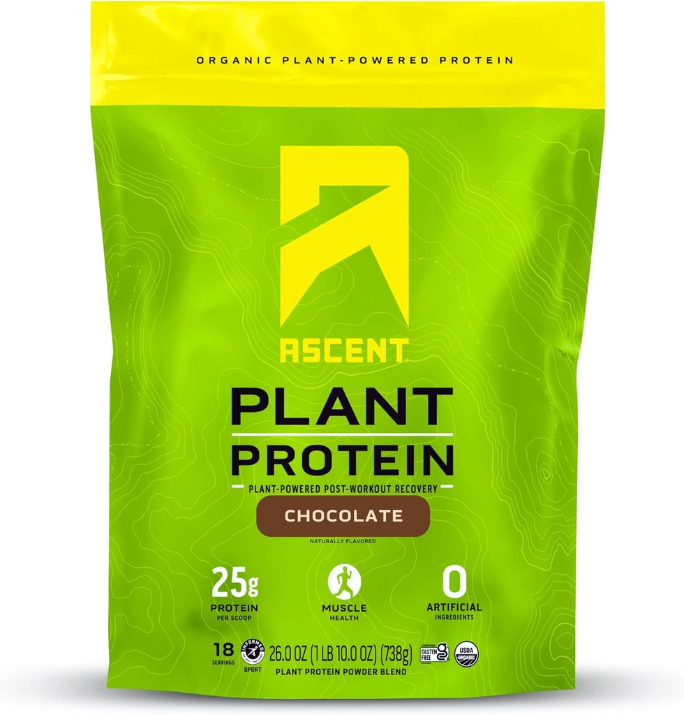 El Placent Bast Protein Powder - Nory Vegan Protein, Zero A artificial Ingredients, Soy & Guten Free, No Added Sugar, 4g BCAA, 2g Leucine - xocolata, 18 Servitings