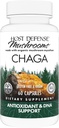 Host Defense Chaga Kapsule - Imunitný systém Suplement - Chaga Mushroom Kapsule od Antioxidant Activity Support - Dietary Mushroom Supplement - 60 Kapsule (30 Servings)