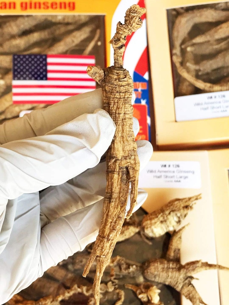 8OZ=227g/Box American Wild Ginseng 15~20 Ani, Wisconsin Whole Ginseng Root Hand-Sselectat 
