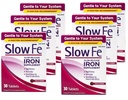 Slow Fe Slow Release Iron, Tablets 30 ea (Pack of 6)