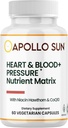 APOLLO SUN 심장과 혈액 + 압력 보충교재 호손 추출물, Niacin 및 COQ10, 60 채식 캡슐을 가진 영양성 모체