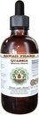 Quassia Alcohol-Free Liquid Extract, Quassia (Quassia Amara) Dried Bark Glycerite Natural Herbal Supplement, Hawaii Pharm, USA 2 fl.oz