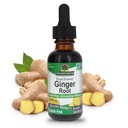 Nature's Answer Ginger Root Alcohol Free Extract 1 Ounce | Supports Stomach Function | Vegan | Vegetarian | Non-GMO | Gluten Free