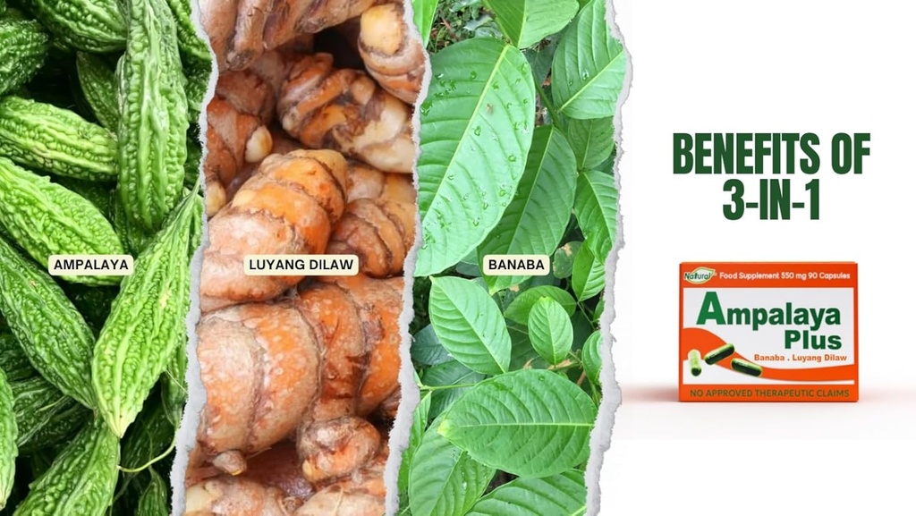 Ampalaya Plus 550mg 90 kapslar - Pack av 1 - med Banaba, gurkmeja Ginger och Bitter Melon av Ampalaya Plus - Halal Herbal Suplements