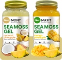 Gel de mousse de mer Bio cru (Bundle of 2 Jars 24oz) Ananas de noix de coco et ananas de mangue Wildсrafted Gold Gel de mousse de mer de Sainte-Lucie