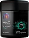 MitoQ +Liver Premium CoQ10 산화 방지제 - Mitoquinol Mesylate, Choline, Milk Thistle, Selenium - Metabolism, Liver Health, Body’s Natural Detoxification & Cell Vitality (60 캡슐) 지원
