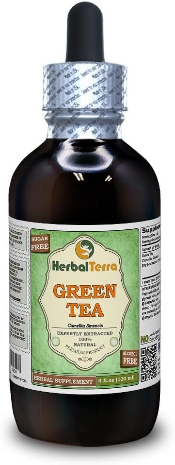 Green Tea (Camellia Sinensis) Glycerite, Organic Dried Leaves Alcohol-Free Liquid Extract (Brand Name: HerbalTerra, Proudly Made in USA) 4 fl.oz (120 ml)