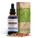 Echinacea Root USDA Organic Tincture | Alcohol-Free Extract, High-Potency Herbal Drops, Immune System Health | Made from 100% Certified Organic Echinacea Root (Echinacea Purpurea) 2 oz