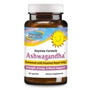 NORTH AMERICAN HERB & SPICE Ashwagandha - 60 Capsules - Enhanced with Premium Royal Jelly - Strength & Energy - Non-GMO - 30 Servings