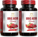 URIC Acid Support - Kidney Herbal Supplements Pills with Chanca Piedra, Uric Acid Support Formula, Joint discomfort, Natural Remedy - 2 Bottles 120 Capsules