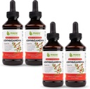 Maxx Herb Ashwagandha Asswandha Extract  по-добре от капсули или на прах - за Stamina, памет и имунна поддръжка 4 бутилки, 4 Oz Each (240 сервис)