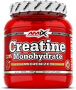 Amix Creatine 单水合物-粉末300克