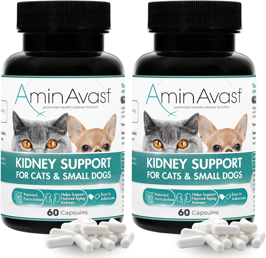 AminAvast Kidney Support supplement for Cats and Small Dogs, 300mg 2-Pack - Promotes Natural Kidney Function - Aids in Health and Vitality of Aging Kidneys - Easily Administered - 60 Sprinkle Capsules