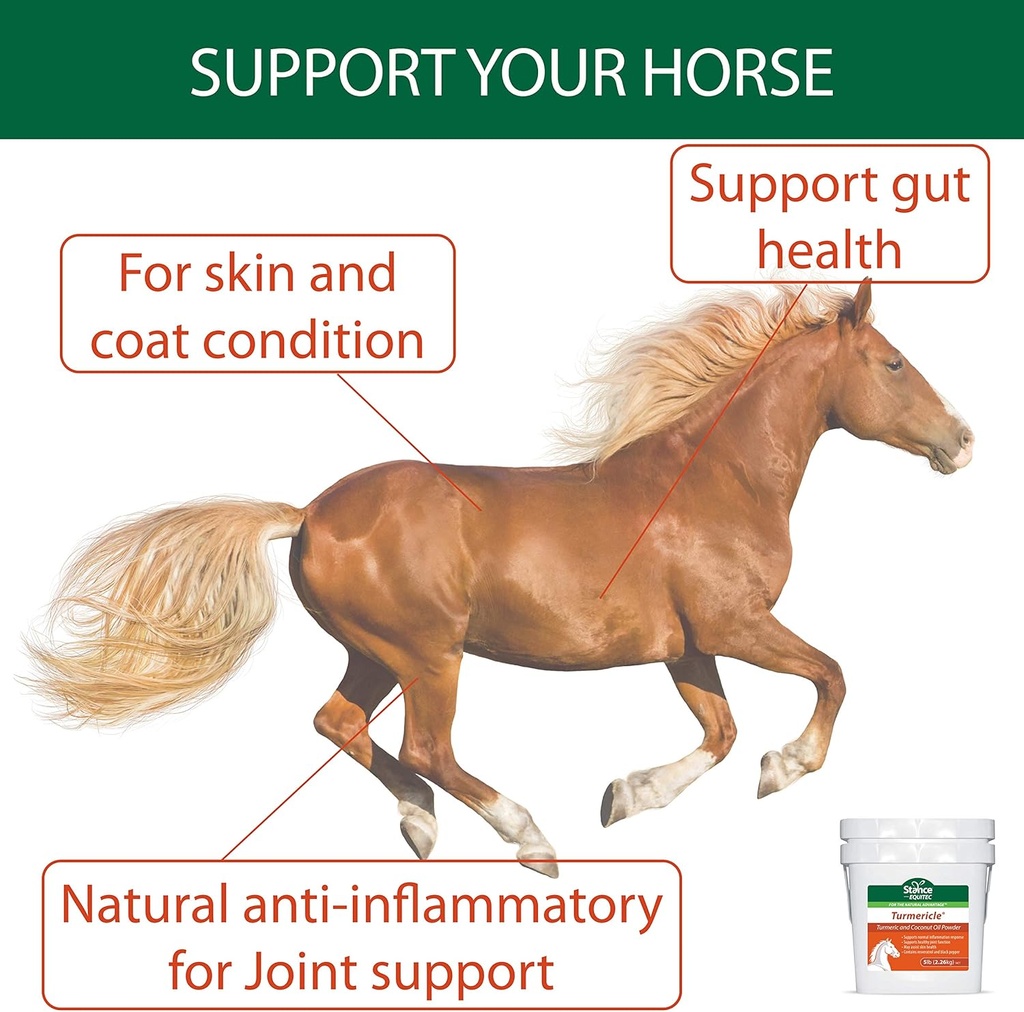 Naturalny kurnik w proszku w proszku w proszku - Turmericle Anti- Inflamative Horse Supplement for Healthy Hip & Joint Function - Normalne zdrowie skóry
