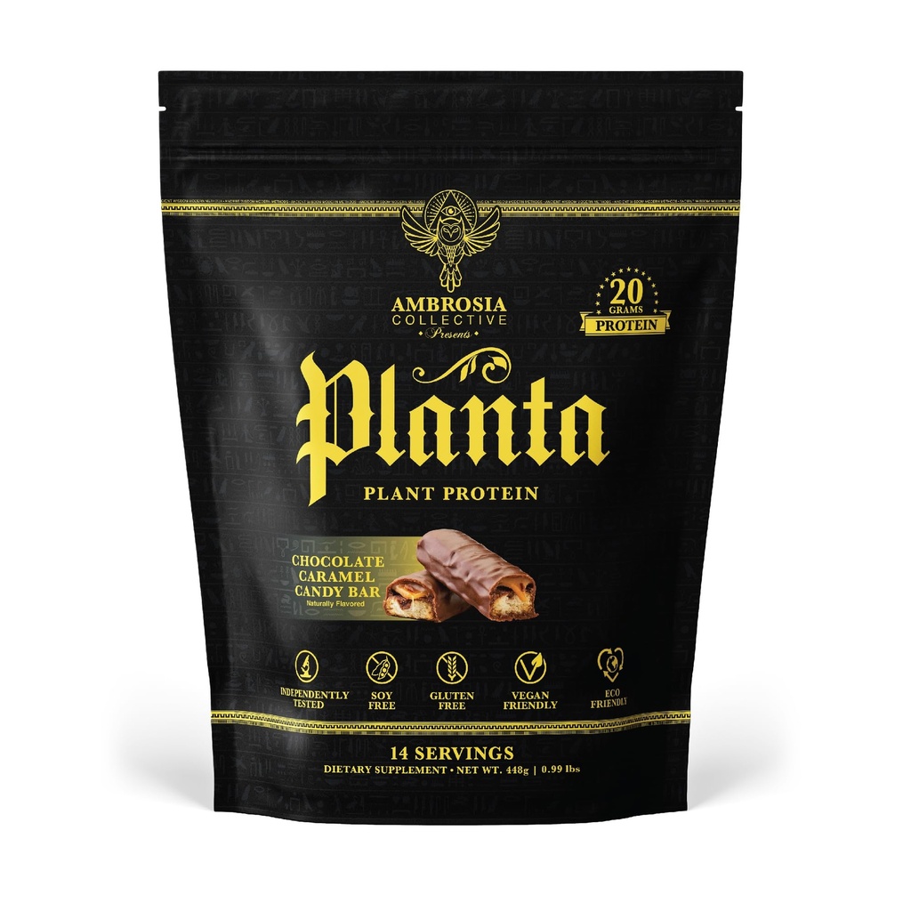 Ambrosia Plant Based Protein Powder 20g | Clean Vegan Pea Protein Powder | Gluten & Dairy Free, Keto Friendly, No Added Sugar | 14 Servings | Candy Bar