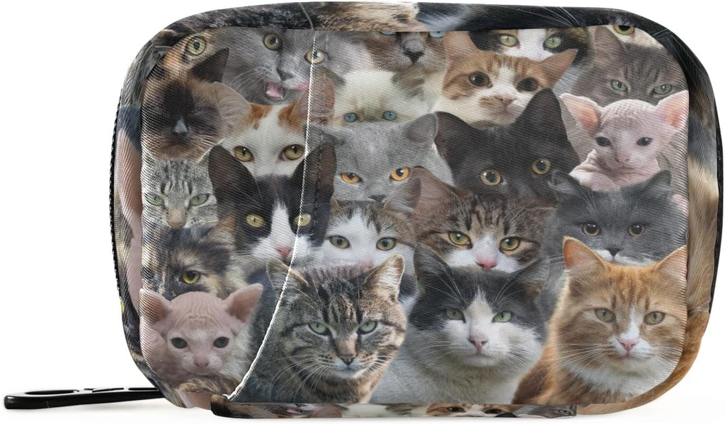 Breeds Cats Pill Box 7 День Підвіконня Case Travel Pill Організатор сумка з блискавкою Pill Holder Portable Weekly Case Компактний розмір для вітаміну добавки