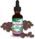 Narava je odgovor Saw Palmetto Berry Extract Zeliščni dodatek z organskim alkoholom, 1-Fluid Ounce 
