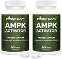 Phụ đạo diễn AMPK, 5 trong số 1 Jiagulan Gynostemma AMPK Metviator 120 Vegetarian Capsules (20 Count (Pack of 2))