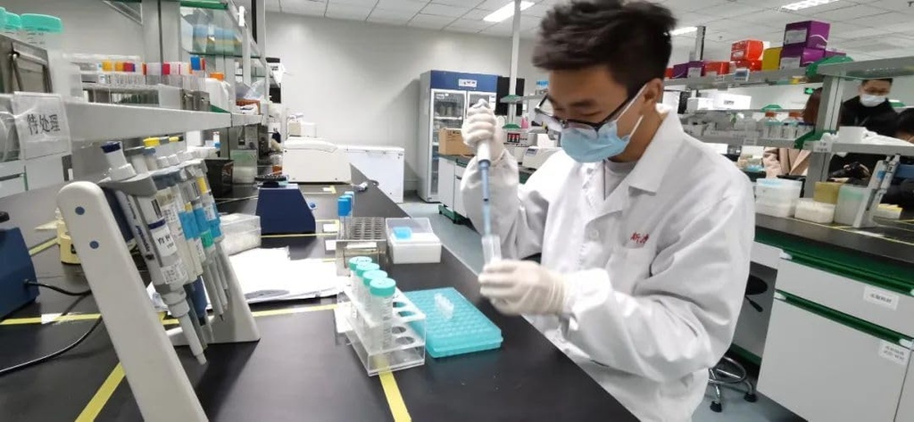 Protéase d'alcaline d'alimentation 200000 u/ml pour le bétail, la volaille, les porcs et les poulets, additifs pour l'alimentation animale, préparations enzymatiques 1000 Grams.