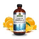 Nature's Answer Liquid Omega-3 | Deep Sea Fish Oil with EPA/DHA Dietary Supplement | Cardiovascular Support | No Preservatives & Gluten-Free 16oz
