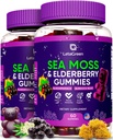 Irish Sea Mossss Gummies - Sea Mos Bladderwrack Burdock Elderberry - 60 טבעוני Seamos Bears - מבוגרים חניכיים לילדים ומבוגרים עם ויטמין C & Zinc (Pack of 2)