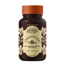 Herbs Etc. Adrenotonic Softgels - Adrenal Health & Sustained Vitality Support - Black Currant Leaf, Siberian Eleuthero & Cultivated American Ginseng - Gluten-Free & Organic - 60 Count (60 Servings)