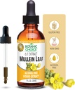 Botanikos pasirinkimas Mullein Leaf Liquid Extract, Alkoholis Nemokamas, Gluten Free, Tradicinė kvėpavimo palaikymo 1 Fl. Oz.