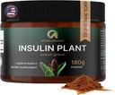 Premium Quality Costus Igneus (inzulínová rostlina) Powder - No Bad Taste (2 Month Supply) - Made in The USA - Včetně Kompletního programu zdravotní podpory