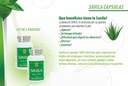 Nutrisalud Products Capsulas de Savila, Aloe Vera Capsules 500mg. Set de 2 frascos 100 kapsul CADA un.Efectivo Contra ulceras, agruras, mala Dibuckle, Colitis, estreñimiento. Dura mas de 3 Meces.
