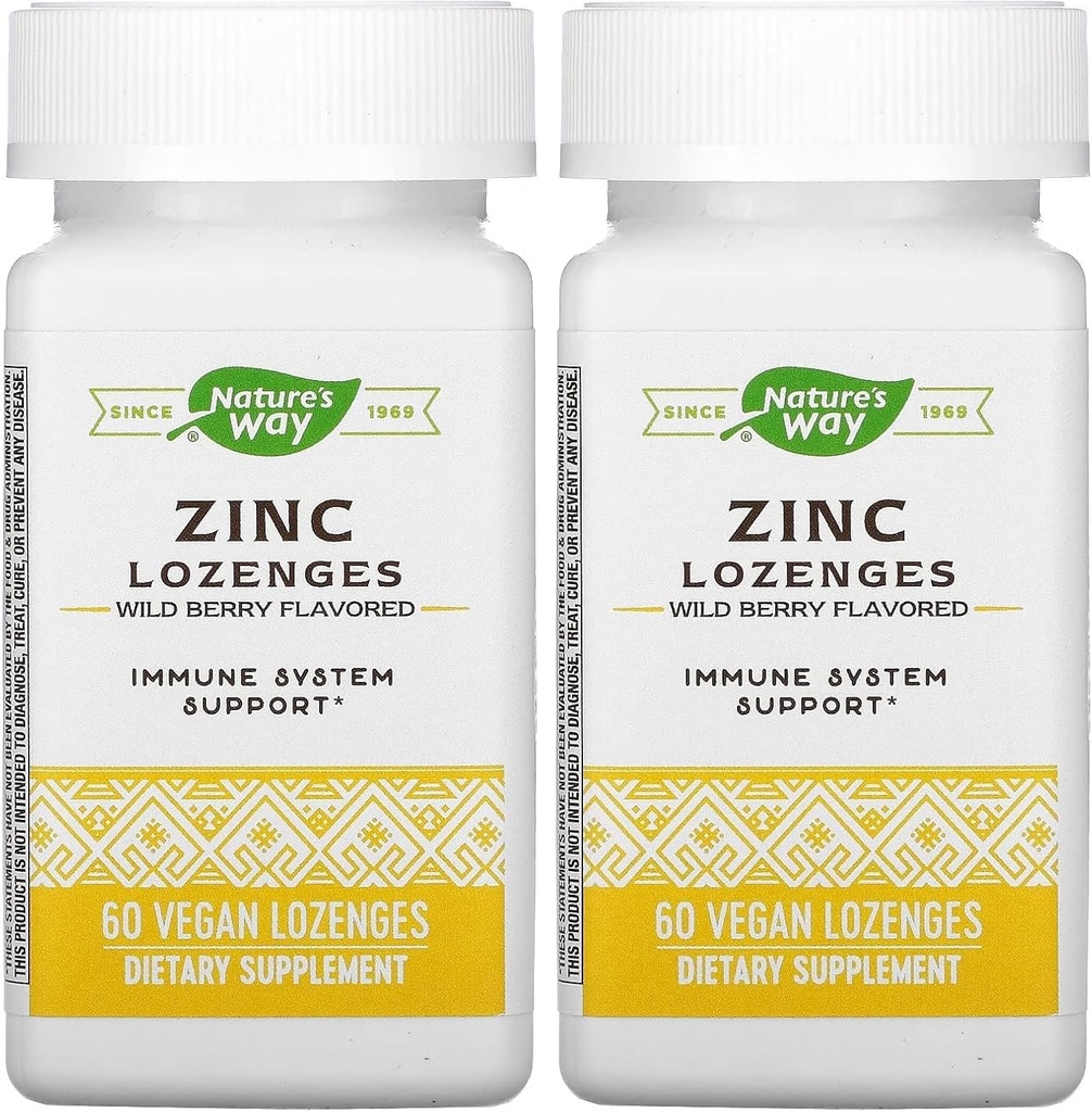 자연의 방법 아연 Lozenges 비타민 C & Echinacea, 면역 지원 *, 야생 베리 맛, 60 Lozenges (패키지 2)